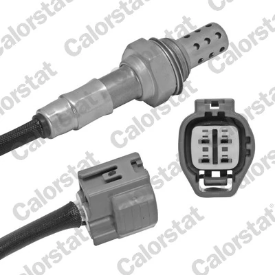Oxygen Sensor